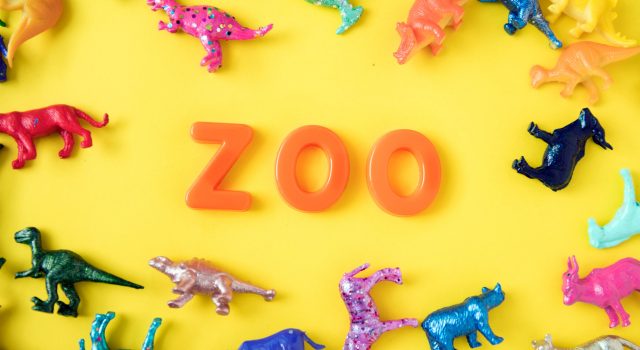 organiseer een te gek zoo feestje voor je oogappel